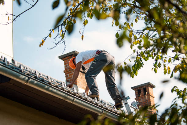 Best Chimney Flashing Repair  in Fox Lake Hls, IL