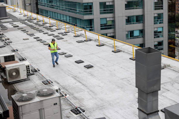 Best Roof Insulation Installation  in Fox Lake Hls, IL