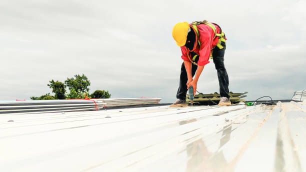 Best Roof Coating and Sealing  in Fox Lake Hls, IL